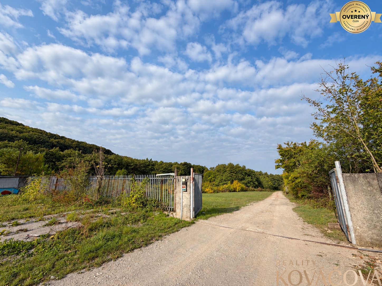 e89d7886-ebde-424b-b31a-3c3e4709f194.png